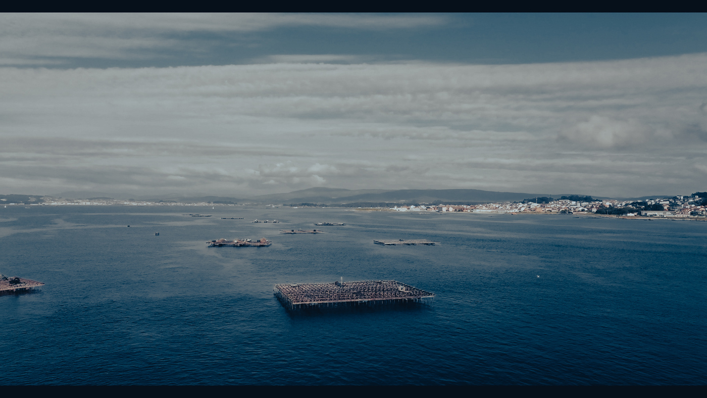 Vista aérea das bateas na ría